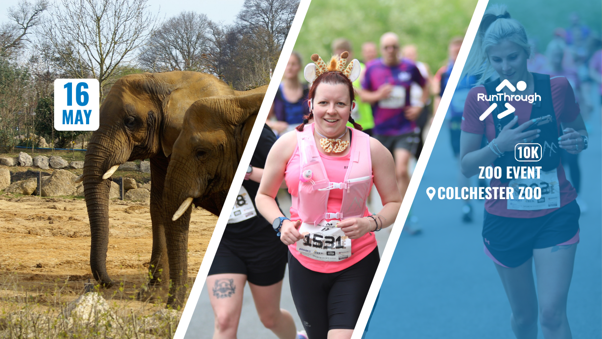 Colchester Zoo Stampede 10k May 2027