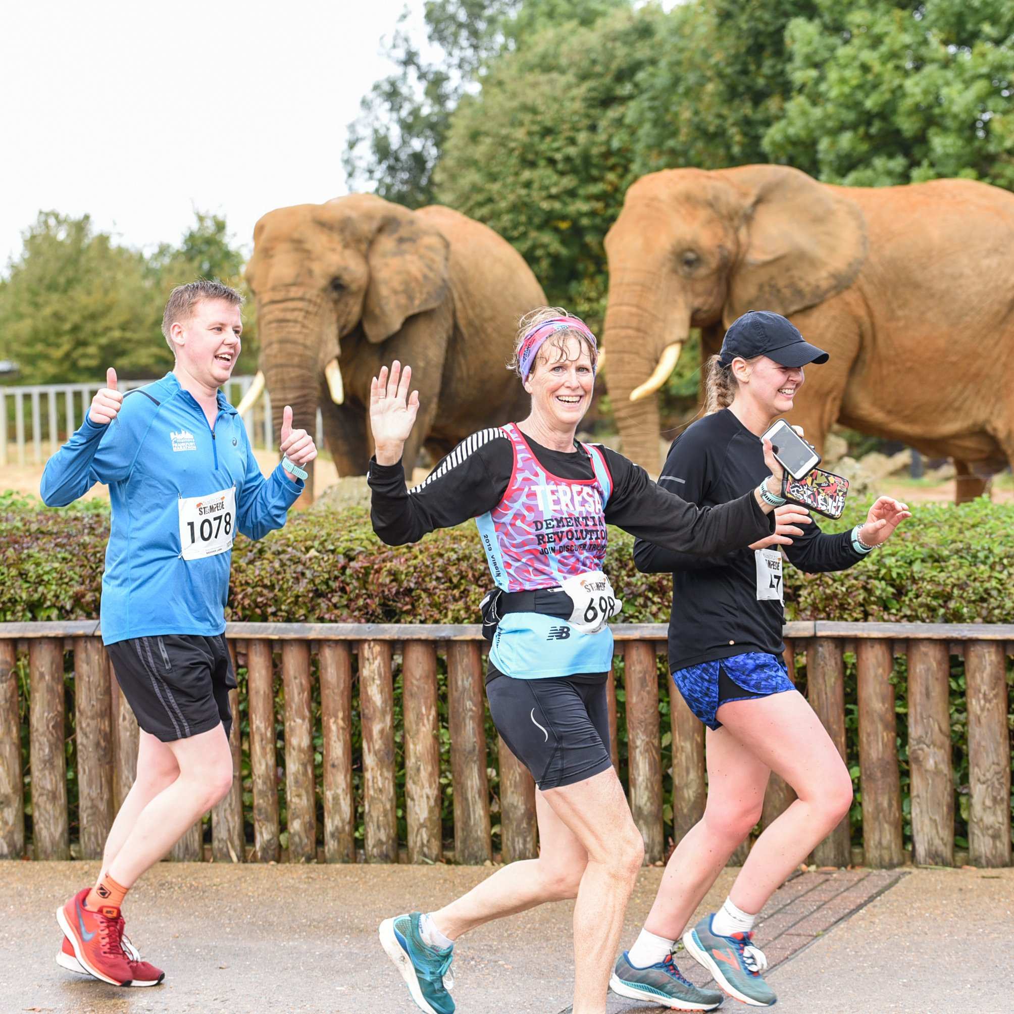Colchester Zoo Running Events